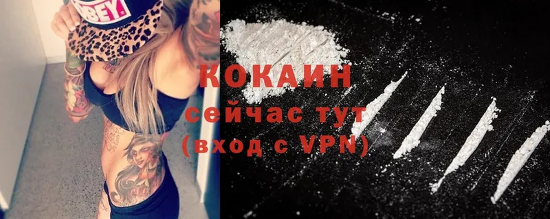 Cocaine VHQ  купить   ОМГ ОМГ сайт  Чкаловск 